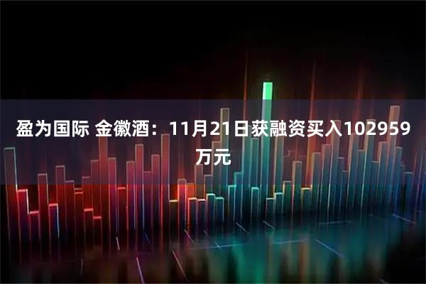 盈为国际 金徽酒：11月21日获融资买入102959万元